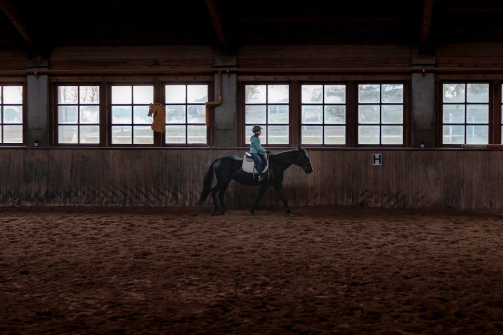 Types Of Dressage And Riding Arenas